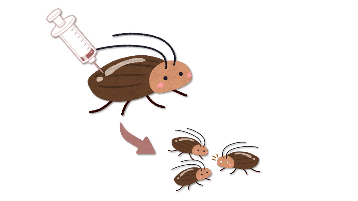 Gene-editing cockroaches with CRISPR-Cas9 – and maybe other insects