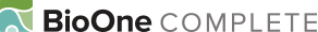 BioOne