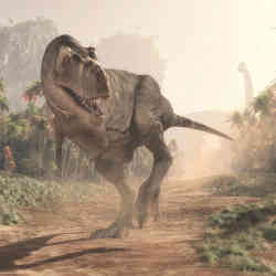 Computer Modeling Suggests That T. Rex Was Slow Walker